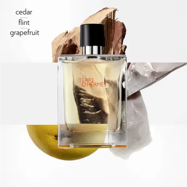 Perfume_Hermes_Terre_D'Hermes_100_Ml_Eau_De_Toilette