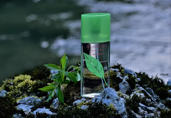 Perfume_Elizabeth_Arden_Green_Tea_Summer_100_Ml_Eau_De_Toilette