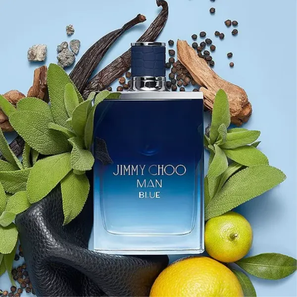 Perfume_Jimmy_Choo_Blue_Man_100_Ml_Eau_De_Toilette