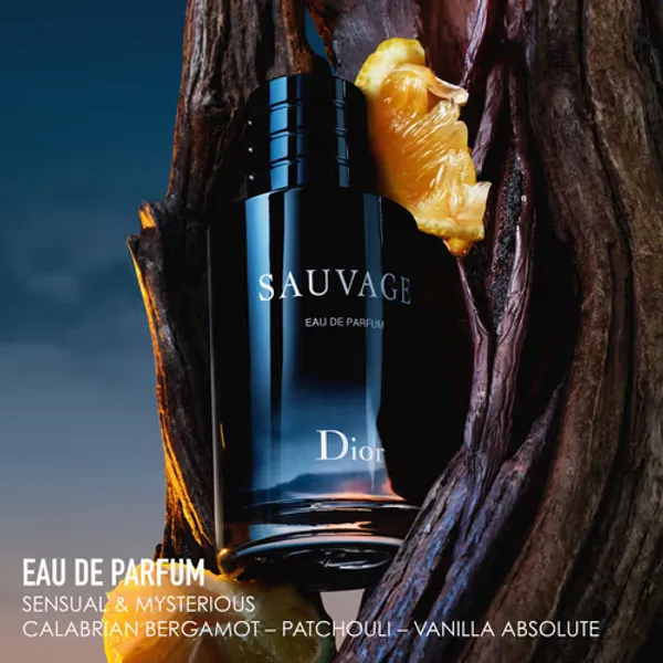 Perfume_Dior_Sauvage_100_Ml_Eau_De_Parfum