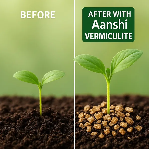 Horticultural_Vermiculite_Natural_&_Organic_Soil_Additive_For_Aeration,_Moisture_Retention_&_Drainage_Ideal_For_Indoor_Plants,_Gardening_&_Hydroponics_900G_Pack_Of_2