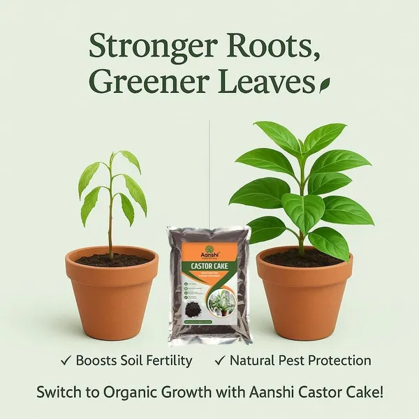 Organic_Castor_Cake_Fertilizer_Ã¯Â¿Â½_Natural,_Cold-Pressed_De-Oiled_Cake_Doc_Rich_In_Npk_Improves_Soil_Health_&_Boosts_Plant_Growth_Organic_Manure_For_All_Plants._900_Gm