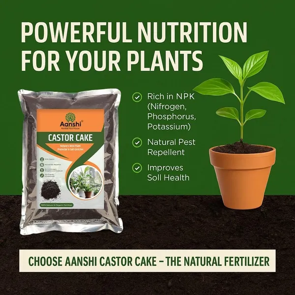 Castor_Cake,_Organic_Npk_Fertilizer_And_Natural_Pest_Repellent,_Plant_Protector_And_Soil_Enricher_For_Field_Crops,_Potted_Plants,_Fruit_Trees_Castor_Cake-_Pack_Of_2