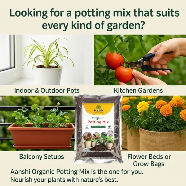 Potting_Mix_Ã¢â‚¬â€œ_Ready-To-Use_All-Purpose_Soil_With_Cocopeat,_Vermicompost_&_Neem_Natural_Fertile_Mix_For_Home,_Balcony_&_Kitchen_Gardening_Pack_Of_2