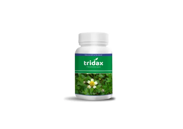 Tridax_Herbal_Supplement_Capsules_-_Natural_Wellness_Support