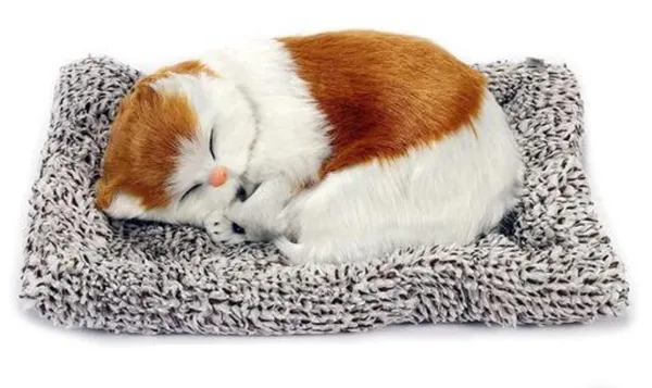 White_Brown_Cute_Little_Sleeping_Cat_For_Home_And_Car_Decor