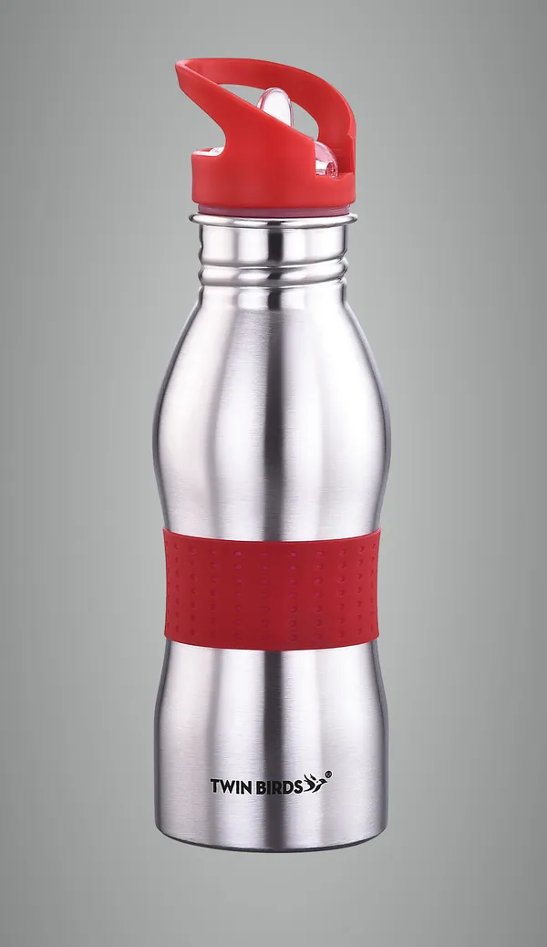 Silver_Stainless_Steel_Bottle_For_Home,_Office,_Gym,_Travelling_(_650_Ml_)