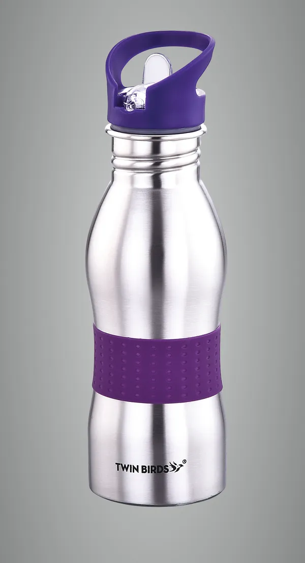 Silver_Stainless_Steel_Bottle_For_Home,_Office,_Gym,_Travelling_650_Ml_(_Pack_of_2_)