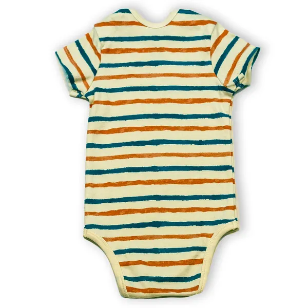 Multicolor_Organic_Cotton_Half_Sleeve_Onesiestripe_Hype
