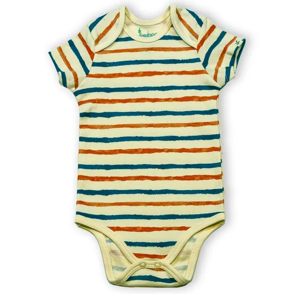 Multicolor_Organic_Cotton_Half_Sleeve_Onesiestripe_Hype