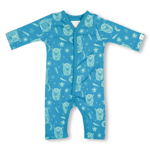 Blue_Organic_Cotton_Full_Sleeve_Romper_Hoot_Hoot_Owl