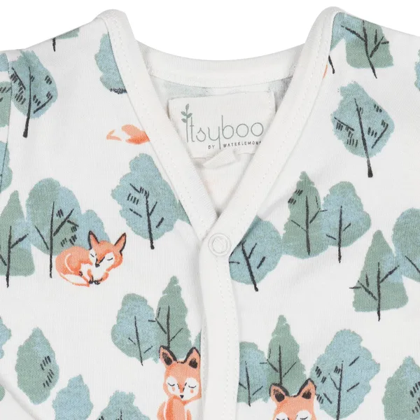 Multicolor_Organic_Cotton_Full_Sleeve_Romper_Crafty_Fox