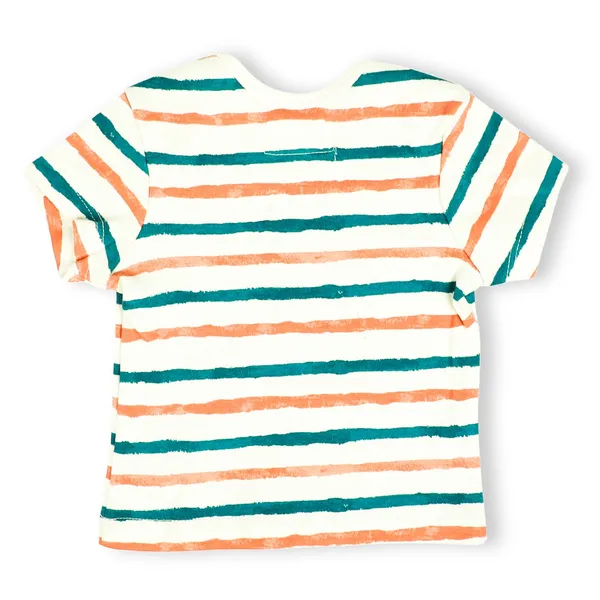 Multicolor_Organic_Cotton_Half_Sleeve_Tshirt_Stripe_Hype