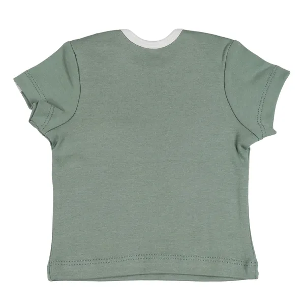 Green_Organic_Cotton_Half_Sleeve_Tshirt_Sage_Green