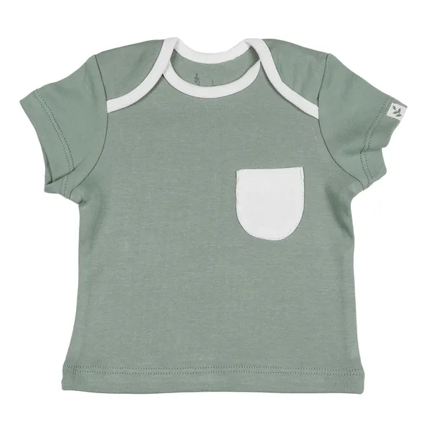 Green_Organic_Cotton_Half_Sleeve_Tshirt_Sage_Green