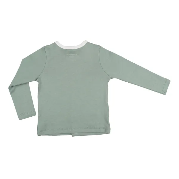 Green_Organic_Cotton_Button_Down_Tshirt_Sage_Green