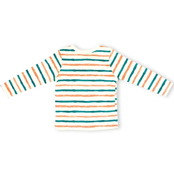 Multicolor_Organic_Cotton_Full_Sleeve_Tshirt_Stripe_Hype