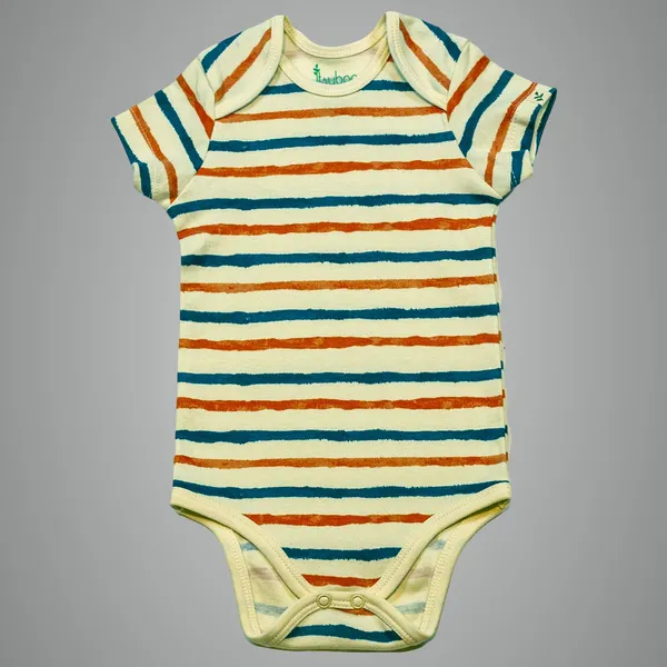 Multicolor_Organic_Cotton_Half_Sleeve_Onesiestripe_Hype