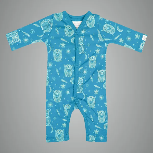 Blue_Organic_Cotton_Full_Sleeve_Romper_Hoot_Hoot_Owl