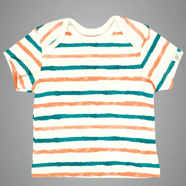 Multicolor_Organic_Cotton_Half_Sleeve_Tshirt_Stripe_Hype