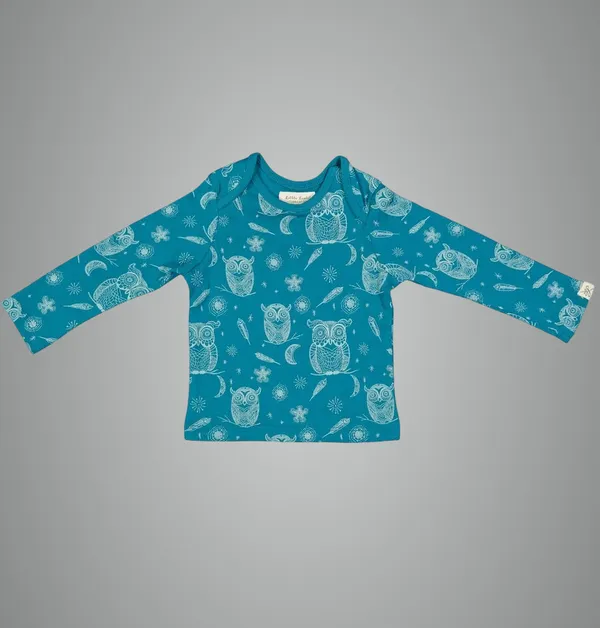 Blue_Organic_Cotton_Full_Sleeve_Tshirt_Hoot_Hoot_Owl