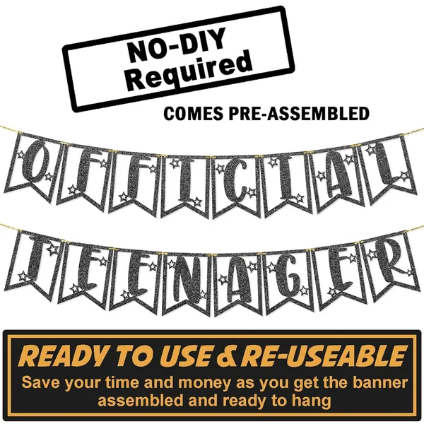Black_13Th_Birthday_Decorations_-_Official_Teenager_Glitter_Banner_|_Black_Glitter_Bunting_For_Girls_&_Boys_|_13Th_Birthday_Party_Supplies_|_Pre-Assembled_|_No_Diy_Required
