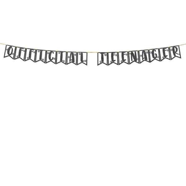 Black_13Th_Birthday_Decorations_-_Official_Teenager_Glitter_Banner_|_Black_Glitter_Bunting_For_Girls_&_Boys_|_13Th_Birthday_Party_Supplies_|_Pre-Assembled_|_No_Diy_Required
