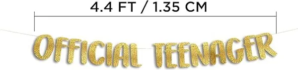 Multi_Official_Teenager_Banner_|_Glitter_Design_Party_Banner_|_Party_Decoration_|_13Th_Birthday_Party_Supplies_|_Photobooth_Backdrop_For_Adults