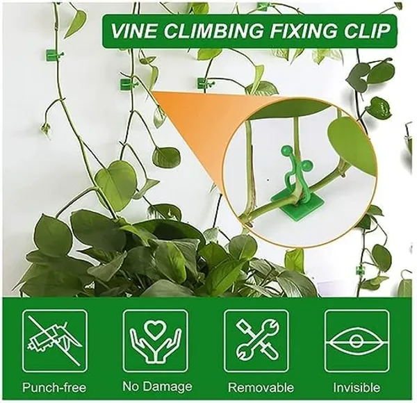 Multi_30Pcs_Plant_Climbing_Clips_|_Invisible_Wall_Vines_Fixing_Clips_|_Plant_Fixture_Hook_|_Self-Adhesive_Hook_|_Wall_Sticky_Hook_|_Binding_Clip_Plant_Holder_|_Assorted