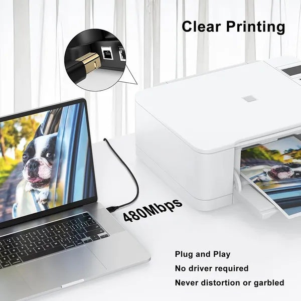 Star_Autoink_High_Speed_USB_2.0_(1_Meter)_Printer_Cable_USB_Scanner_Cable_A_Male_to_B_Male_Compatible_with_Printers,_Scanner_for_Canon,_Brother,_Dell,_HP,_Samsung,_Lexmark,_Panasonic_2_Year_Warranty_STAR193