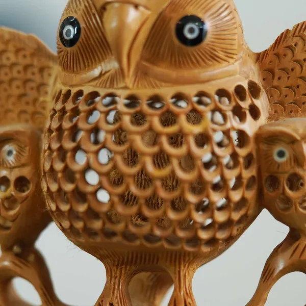 Brown_Wooden_Owl