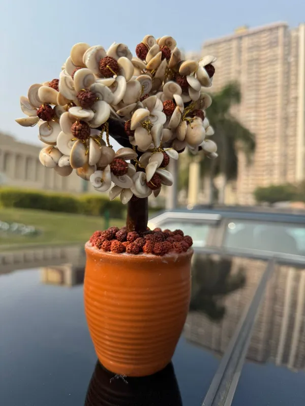 Natural_Gomti_Chakra_Tree