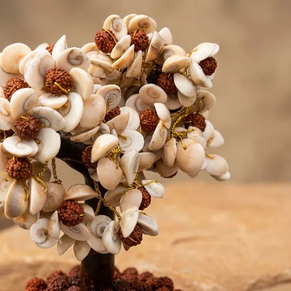 Natural_Gomti_Chakra_Tree