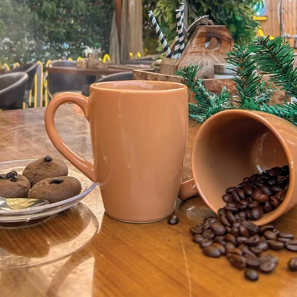 Brown_Ceramic_Coffee_Mug_Set_Pack_Of_2
