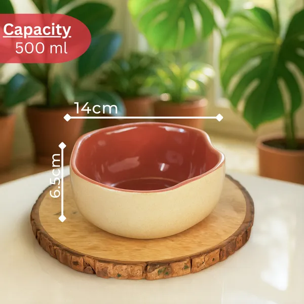 Maroon_Rustic_Terracotta_Bowl_Pack_Of_4