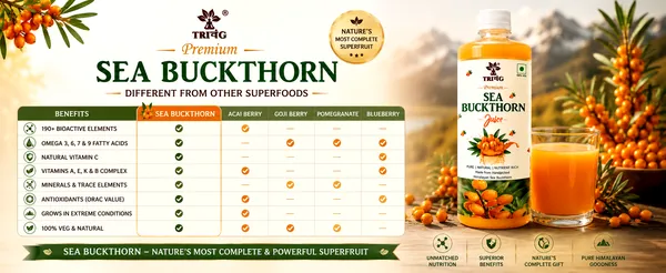 Sea_Buckthorn_Pulp_(Juice)_(Rich_in_Vitamin_C,_Omega_3,6,7_and_9_and_Antioxidants)_|_(250ml_Pack_of_2)_Trivang