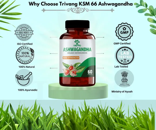 Trivang_Ayurvedic_Ashwagandha_60_Capsules_Pack