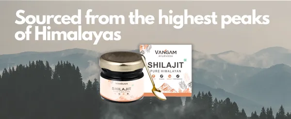 Vangam_Pure_Himalayan_Shilajit_Resin_20g