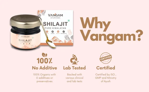 Vangam_Pure_Himalayan_Shilajit_Resin_20g