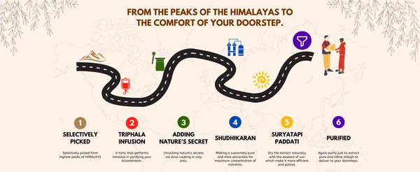 Vangam_Pure_Himalayan_Shilajit_Resin_20g