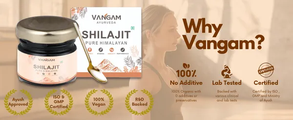 Vangam_Pure_Himalayan_Shilajit_Resin_20g