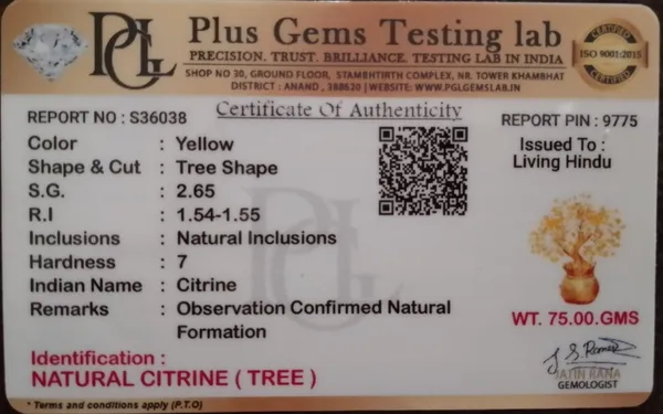 Natural_Citrine_Tree_|_Attracts_Wealth,_Success_&_Positive_Energy_|_Confidence_&_Prosperity_Booster