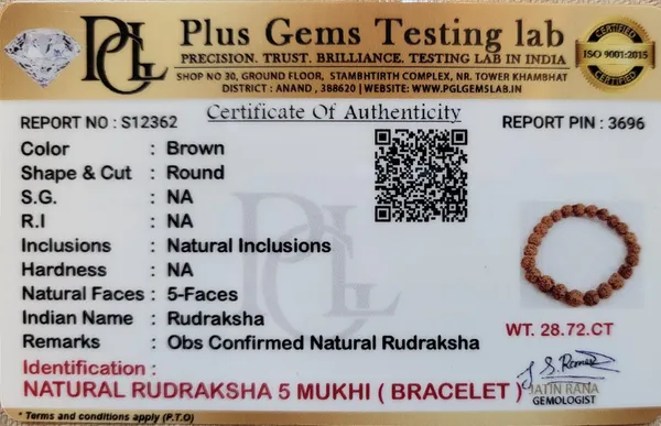 Natural_5_Mukhi_Rudraksha_Bracelet_|_Stress_Control,_Focus_&_Health_Support