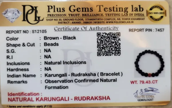 Natural_Kaungali_(Rudraksha)_Single_Bead_Bracelet_|_Focus_Enhancement_&_Grounding_Energy