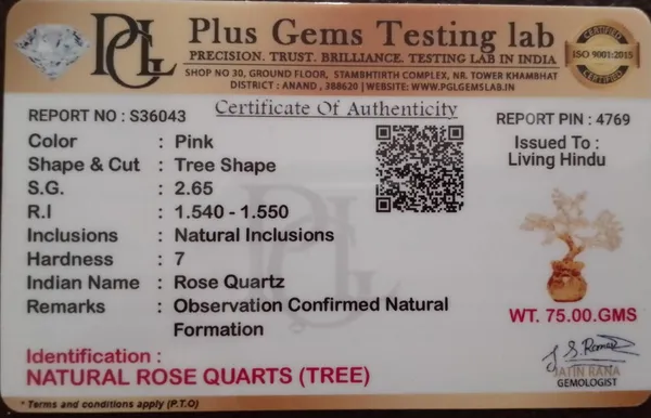 Natural_Rose_Quartz_Tree_|_Attracts_Love,_Heals_Emotions,_Calmness_&_Positive_Energy