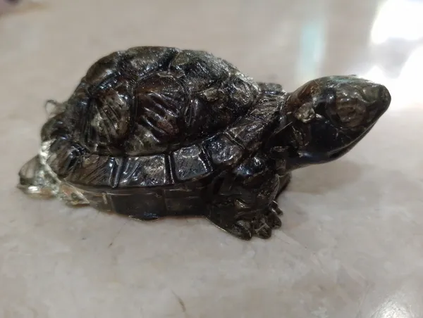 Natural_Pyrite_Tortoise