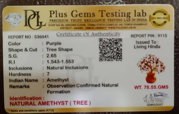 Natural_Amethyst_Tree_|_Calmness,_Spiritual_Protection_&_Positive_Energy