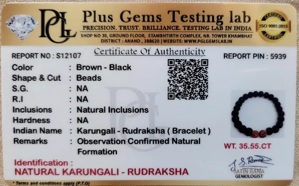 Natural_Kaungali_(Rudraksha)_Double_Bead_Bracelet_|_Meditation_Support_&_Energy_Stability