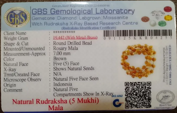 Gold_Plated_5_Mukhi_Rudraksha_Mala_|_Meditation,_Health_Balance_&_Spiritual_Growth