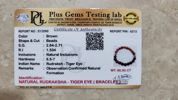 Natural_Rudraksha_Tiger_Eye_Bracelet_|_Courage,_Confidence_&_Protection_from_Negativity